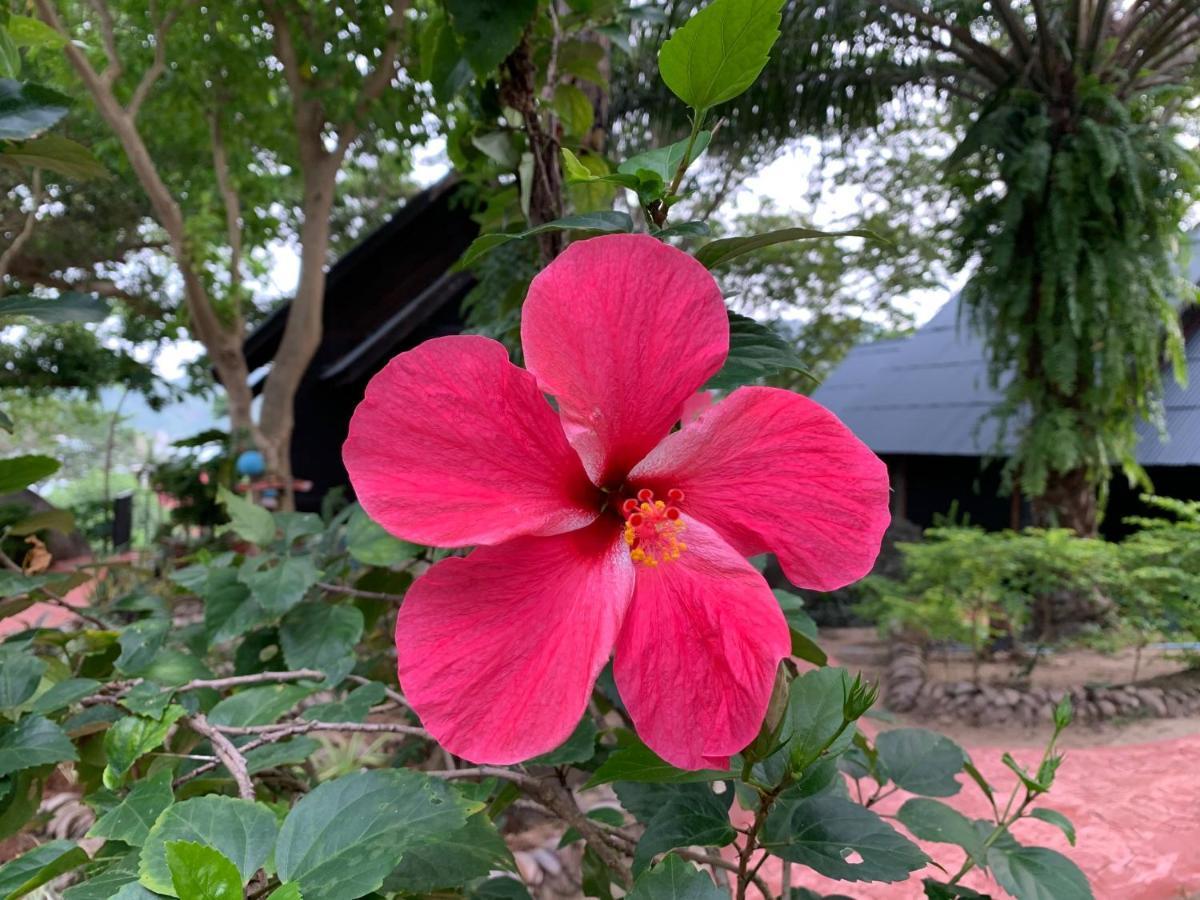 Thongtapan Resort Chaloklum Eksteriør billede